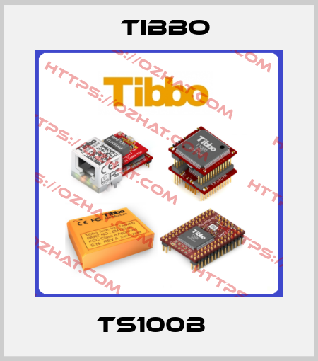 TS100B   Tibbo