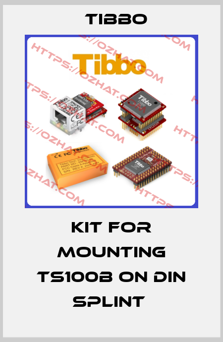 kit for mounting TS100B on DIN splint  Tibbo