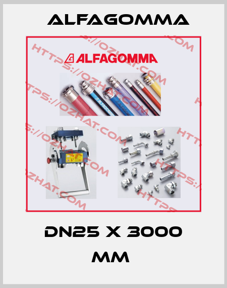 DN25 x 3000 mm  Alfagomma
