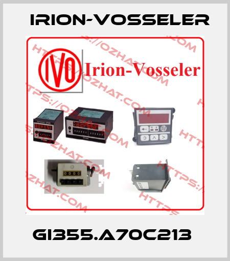 GI355.A70C213  Irion-Vosseler