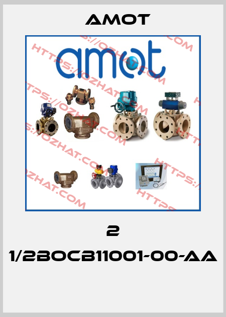 2 1/2BOCB11001-00-AA  Amot
