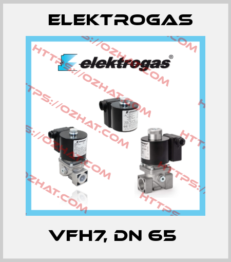 VFH7, DN 65  Elektrogas