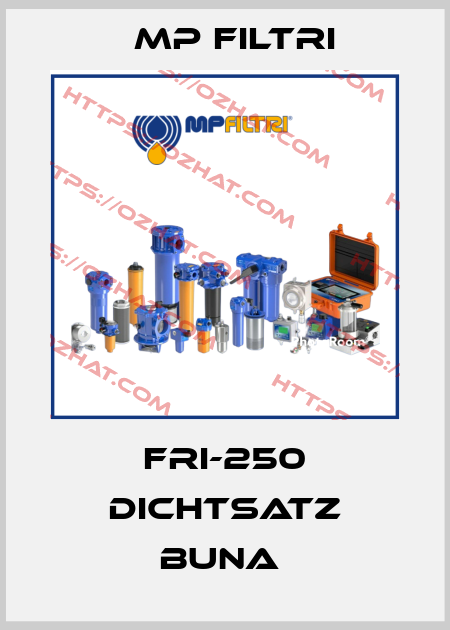 FRI-250 DICHTSATZ BUNA  MP Filtri