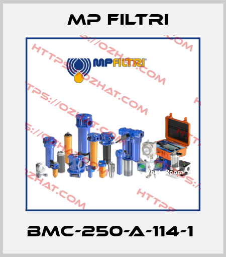 BMC-250-A-114-1  MP Filtri