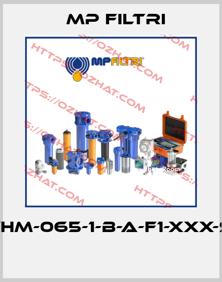 FHM-065-1-B-A-F1-XXX-S  MP Filtri
