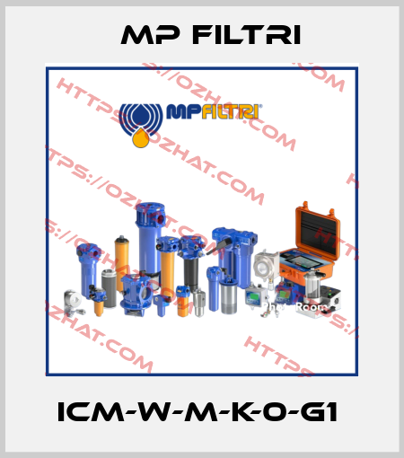 ICM-W-M-K-0-G1  MP Filtri