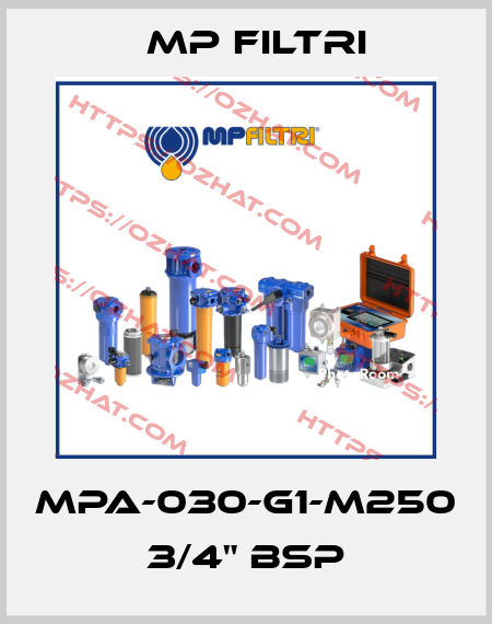 MPA-030-G1-M250   3/4" BSP MP Filtri