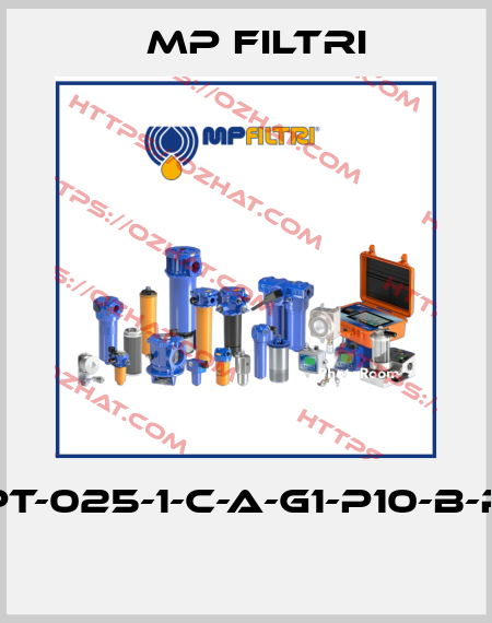 MPT-025-1-C-A-G1-P10-B-P01  MP Filtri