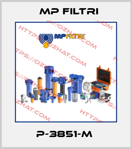 P-3851-M  MP Filtri