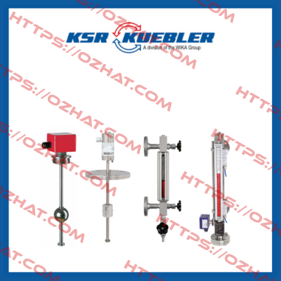 AL-ADF-I-NBIU-1/2NPT-C30EX  Ksr Kuebler