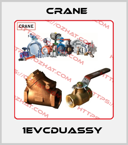 1EVCDUASSY  Crane