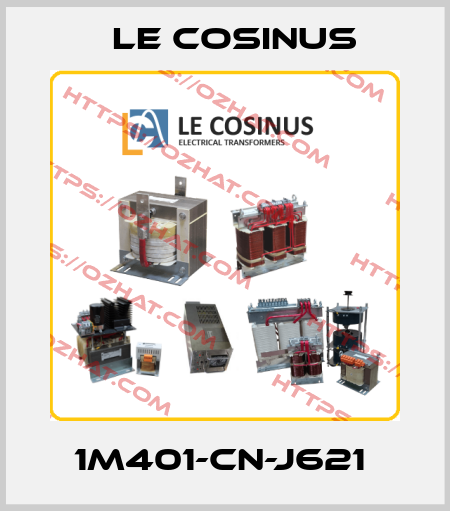 1M401-CN-J621  Le cosinus