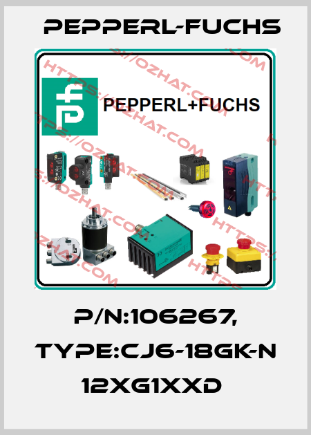 P/N:106267, Type:CJ6-18GK-N            12xG1xxD  Pepperl-Fuchs
