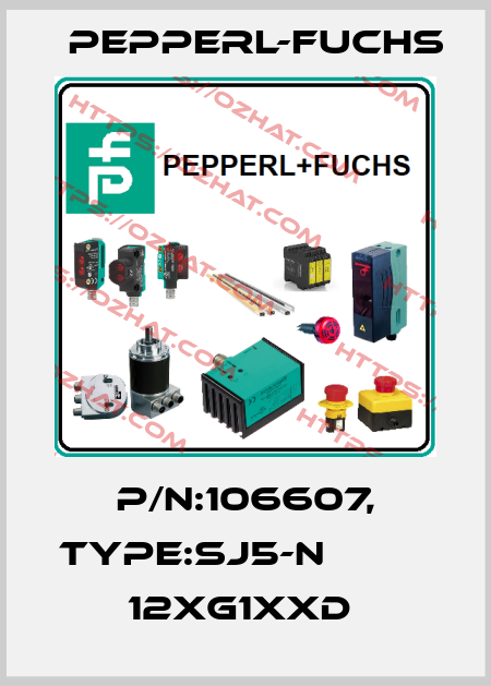 P/N:106607, Type:SJ5-N                 12xG1xxD  Pepperl-Fuchs