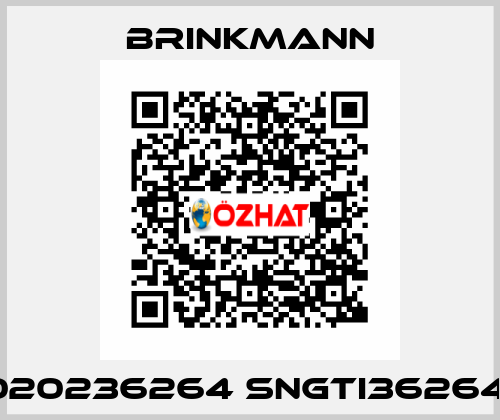 020236264 SNGTI36264  Brinkmann