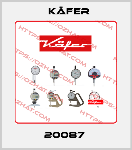20087  Käfer