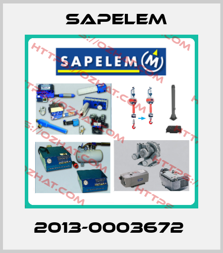 2013-0003672  Sapelem