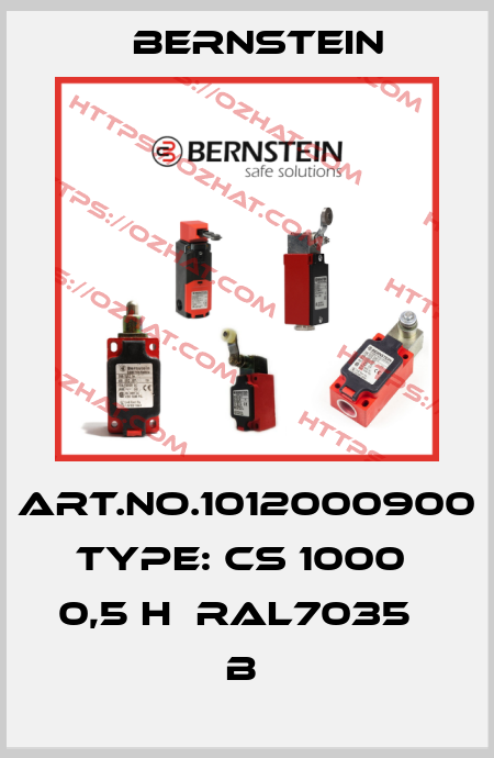 Art.No.1012000900 Type: CS 1000  0,5 H  RAL7035      B  Bernstein