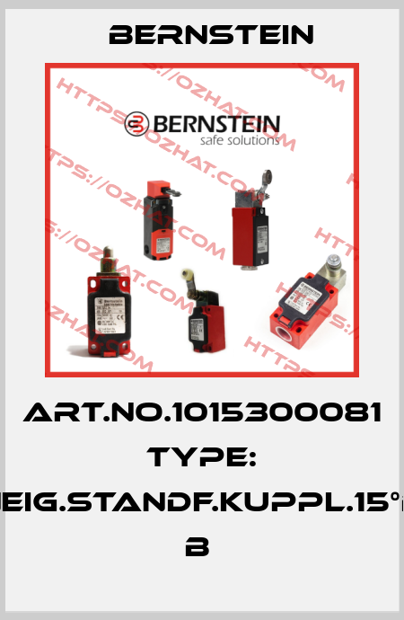 Art.No.1015300081 Type: NEIG.STANDF.KUPPL.15°B       B  Bernstein