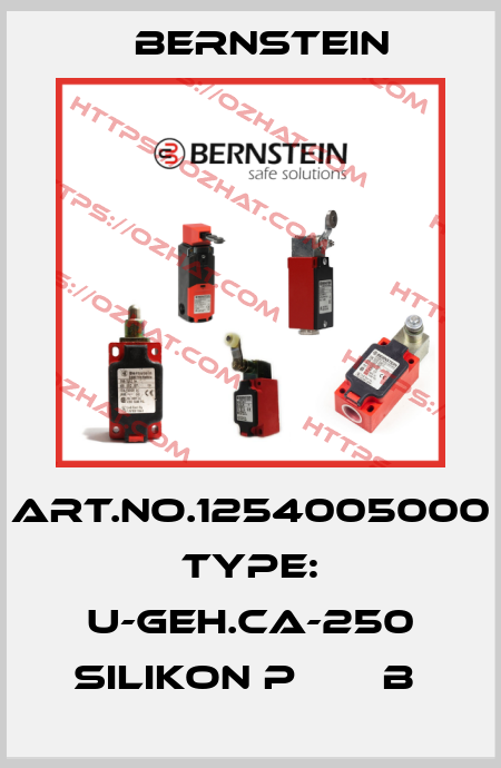 Art.No.1254005000 Type: U-GEH.CA-250 SILIKON P       B  Bernstein
