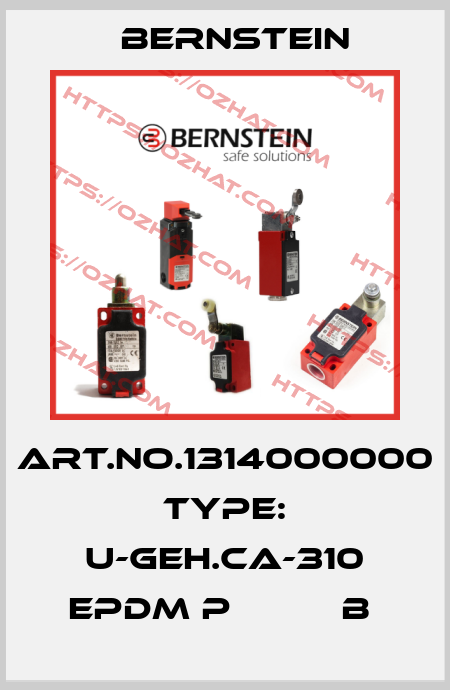 Art.No.1314000000 Type: U-GEH.CA-310 EPDM P          B  Bernstein