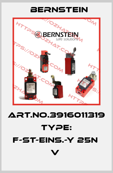 Art.No.3916011319 Type: F-ST-EINS.-Y 25N             V  Bernstein
