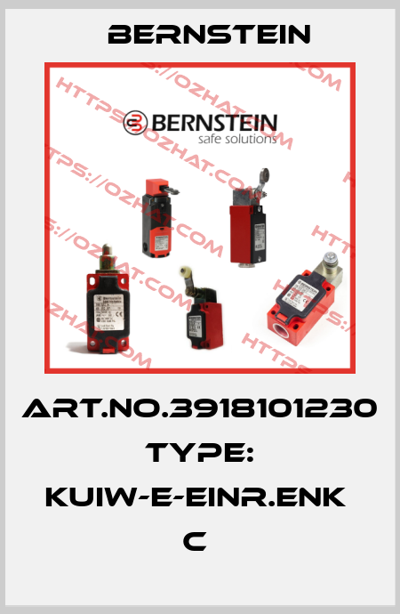 Art.No.3918101230 Type: KUIW-E-EINR.ENK              C  Bernstein