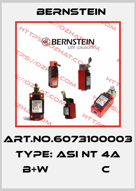 Art.No.6073100003 Type: ASI NT 4A B+W                C  Bernstein