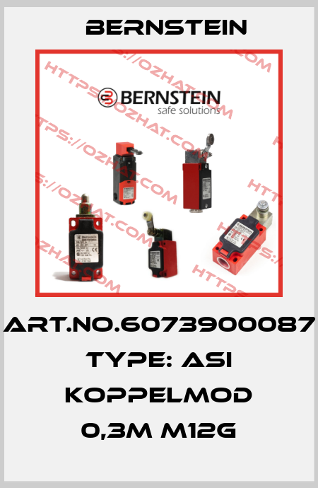 Art.No.6073900087 Type: ASI KOPPELMOD 0,3M M12G Bernstein