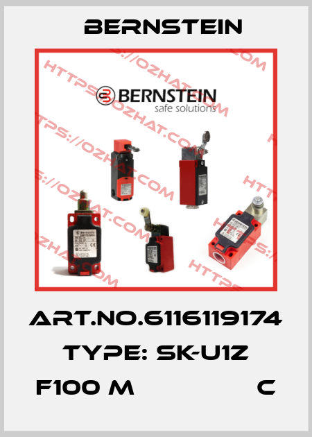 Art.No.6116119174 Type: SK-U1Z F100 M                C Bernstein