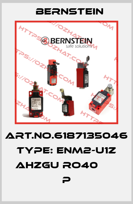 Art.No.6187135046 Type: ENM2-U1Z AHZGU RO40          P Bernstein