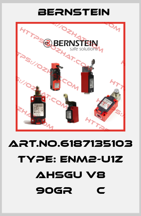 Art.No.6187135103 Type: ENM2-U1Z AHSGU V8 90GR       C Bernstein