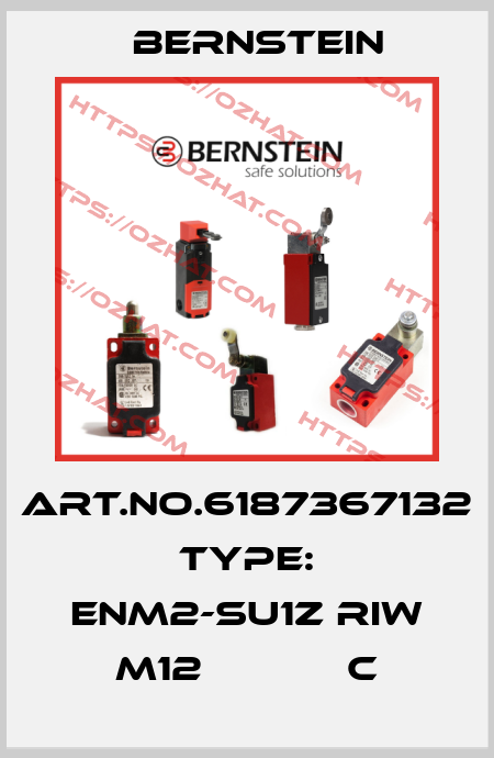 Art.No.6187367132 Type: ENM2-SU1Z RIW M12            C Bernstein