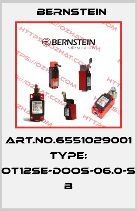 Art.No.6551029001 Type: OT12SE-DOOS-06.0-S           B Bernstein