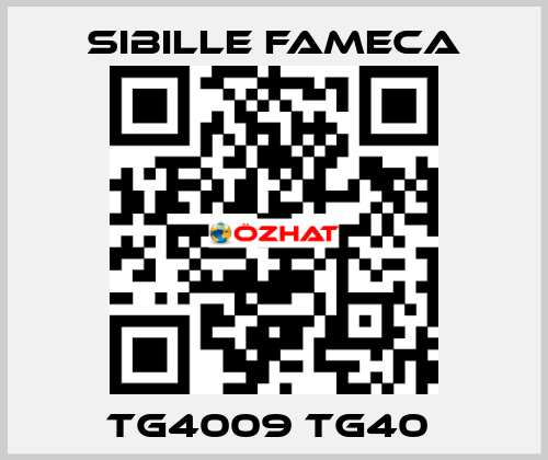 TG4009 TG40  Sibille Fameca