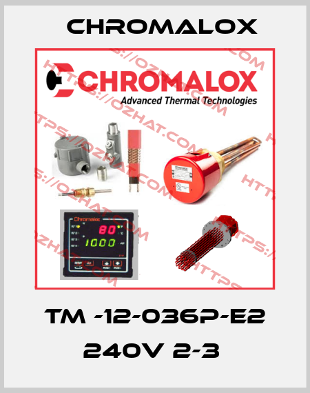 TM -12-036P-E2 240V 2-3  Chromalox