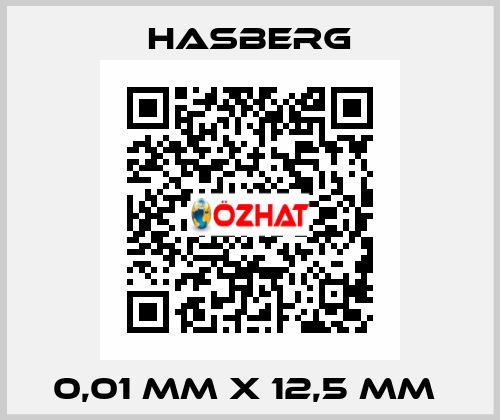 0,01 MM X 12,5 MM  Hasberg