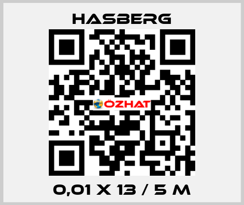 0,01 X 13 / 5 M Hasberg