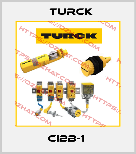 CI2B-1  Turck