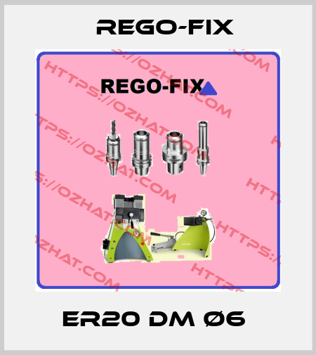 ER20 DM Ø6  Rego-Fix