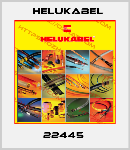22445  Helukabel