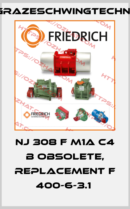 NJ 308 F M1A C4 B obsolete, replacement F 400-6-3.1  GrazeSchwingtechnik