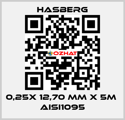 0,25X 12,70 MM X 5M  AISI1095 Hasberg