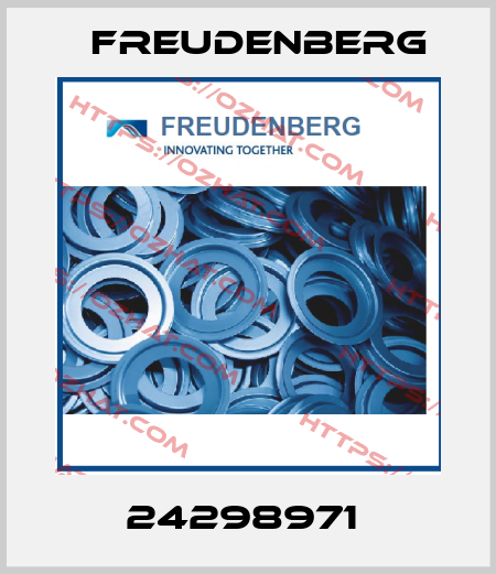 24298971  Freudenberg