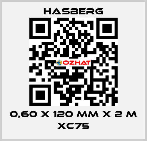 0,60 X 120 MM X 2 M XC75 Hasberg
