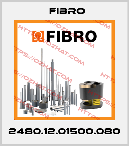 2480.12.01500.080 Fibro