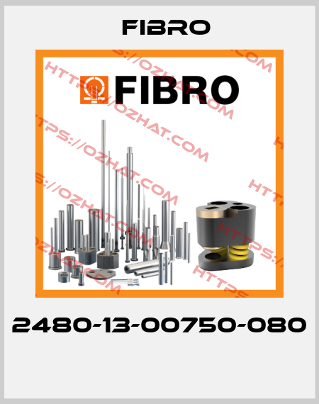 2480-13-00750-080  Fibro