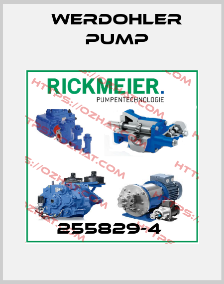 255829-4  Werdohler Pump