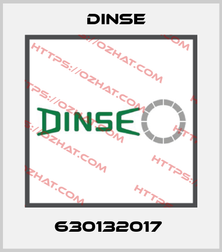 630132017  Dinse