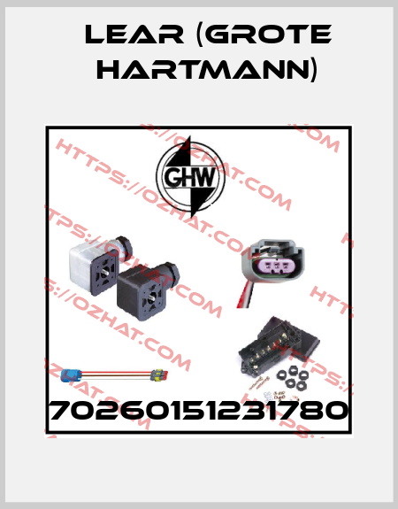 70260151231780 Lear (Grote Hartmann)